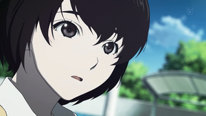 Zankyou no Terror
